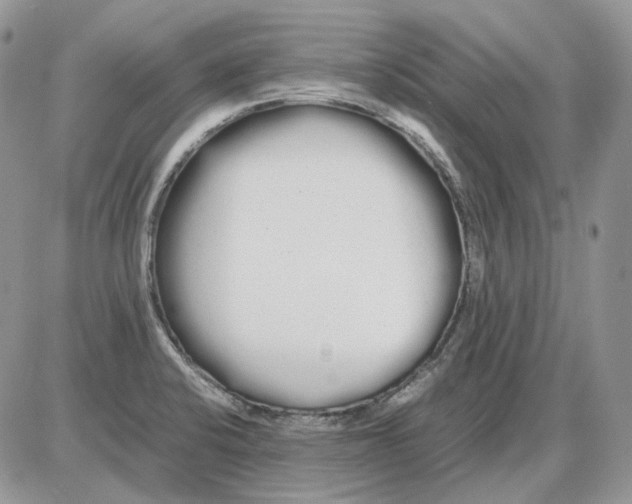 X0000086091424200704202205