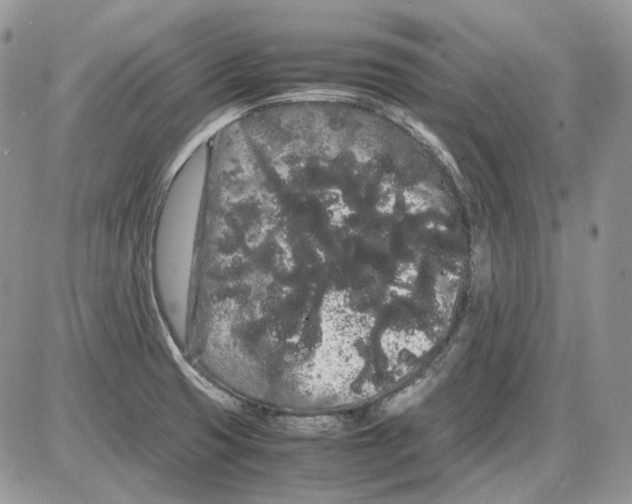 X0000086091425200704202205