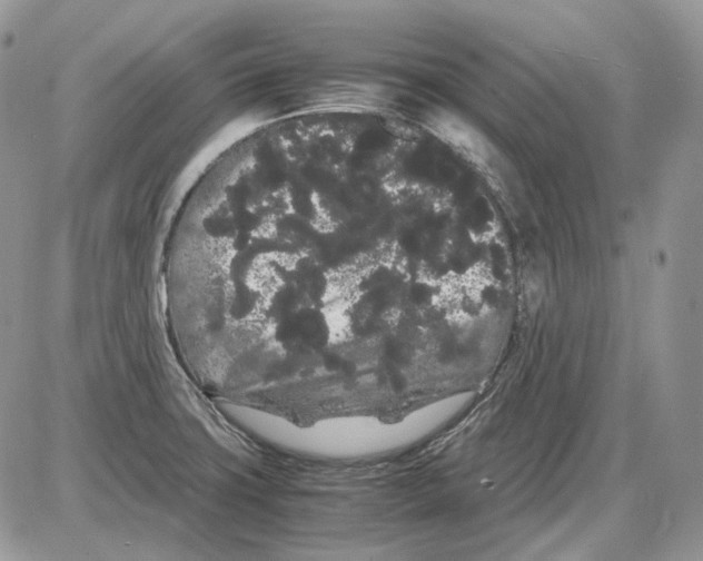 X0000086091427200704202205