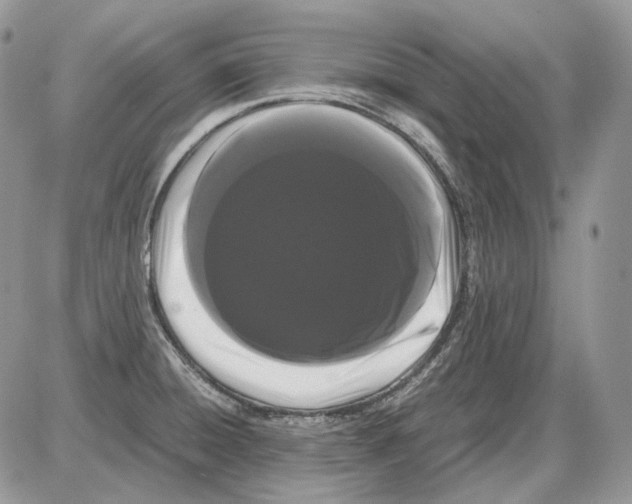 X0000086091428200704202205