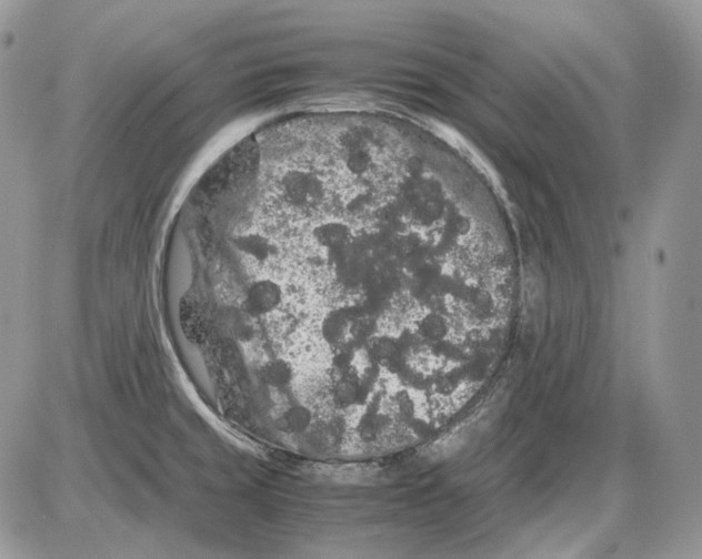 X0000086091429200704202205