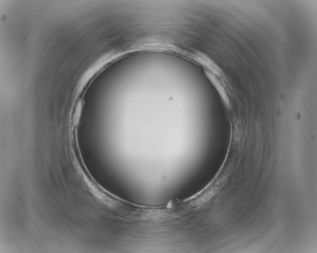 X0000086091430200704202205