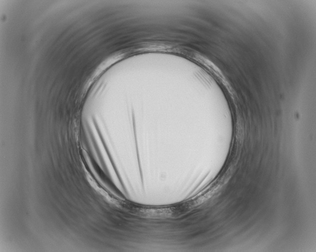 X0000086091433200704202205