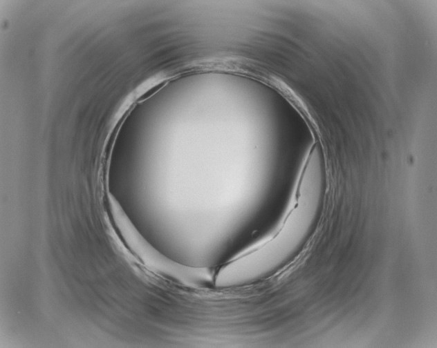 X0000086091434200704202205