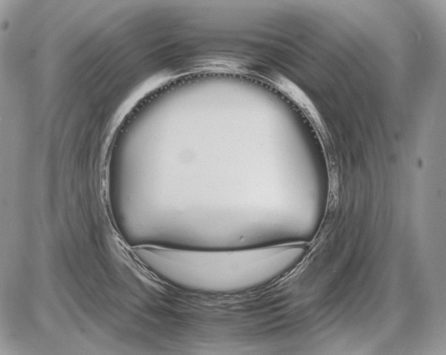 X0000086091435200704202205