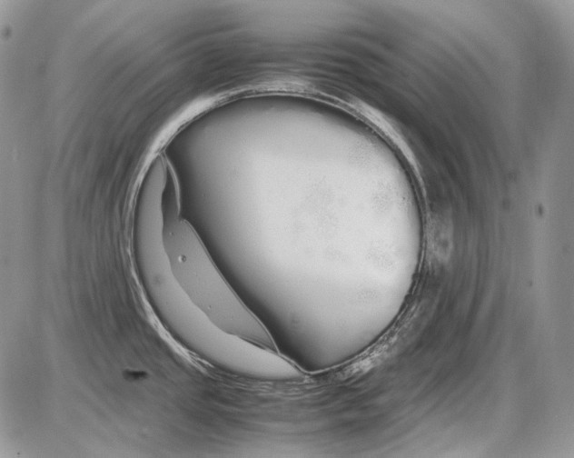 X0000086091437200704202205