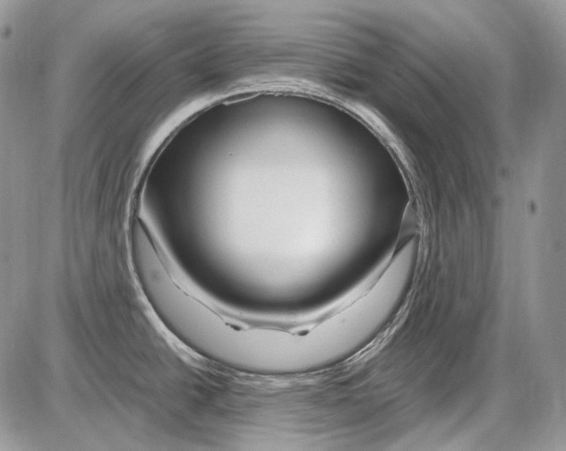 X0000086091438200704202205