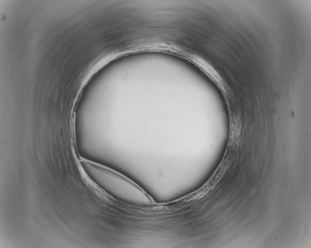 X0000086091439200704202205