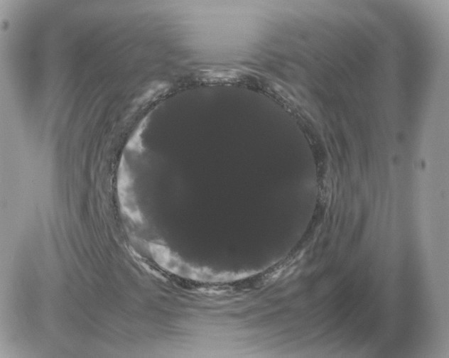 X0000086091441200704202204