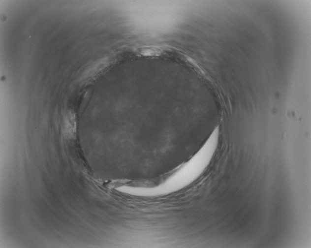 X0000086091443200704202204