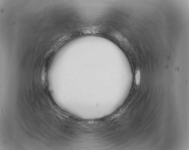 X0000086091444200704202204