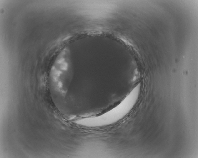 X0000086091445200704202204