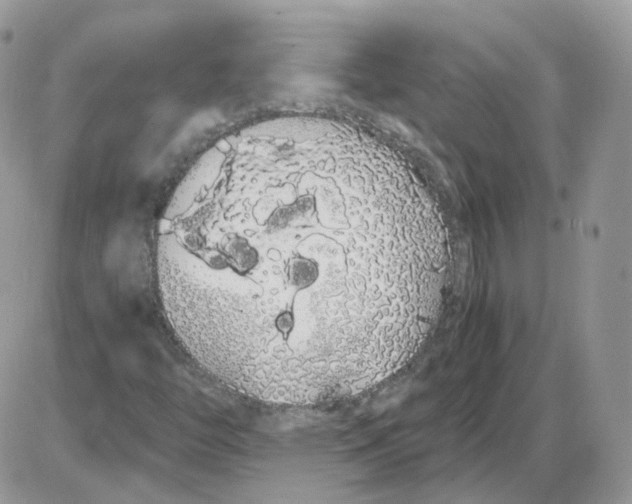 X0000086091446200704202204