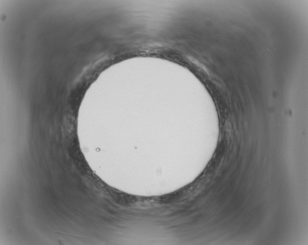 X0000086091447200704202204