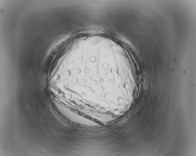 X0000086091448200704202204