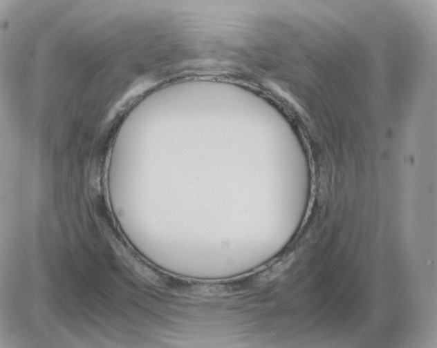 X0000086091451200704202204