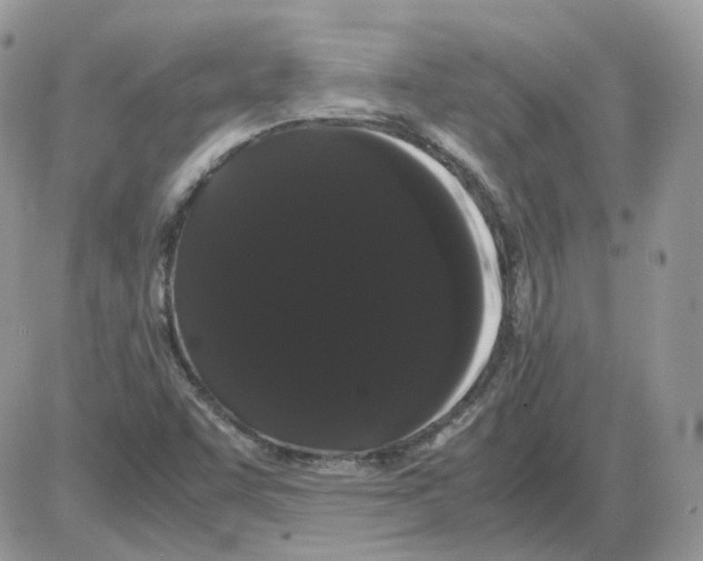 X0000086091455200704202204