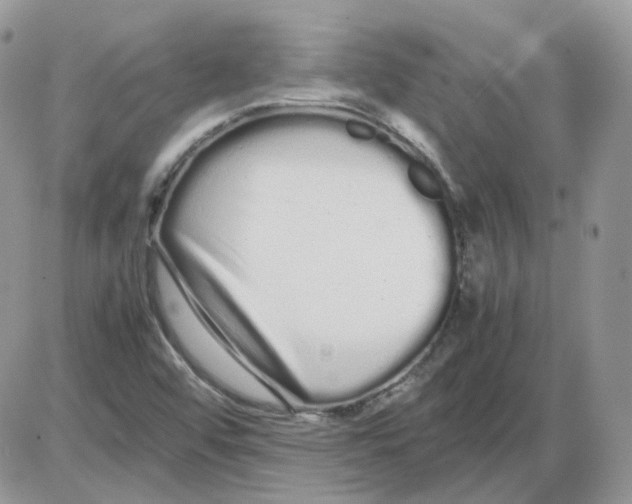 X0000086091456200704202204