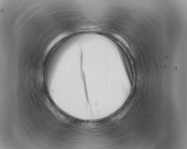 X0000086091458200704202204