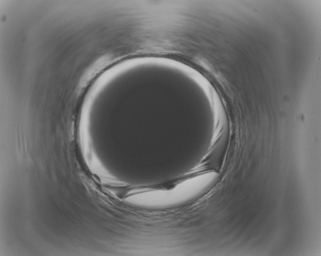 X0000086091459200704202204