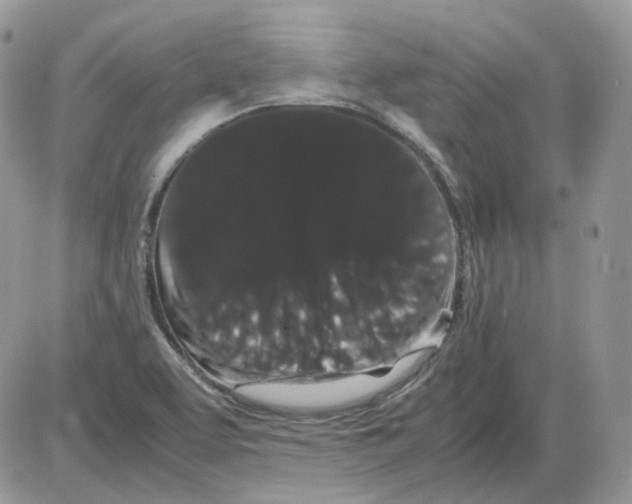 X0000086091463200704202204