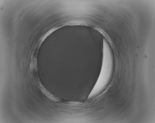 X0000086091465200704202204