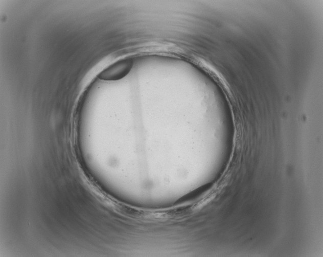 X0000086091467200704202204