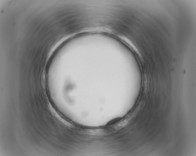 X0000086091468200704202204