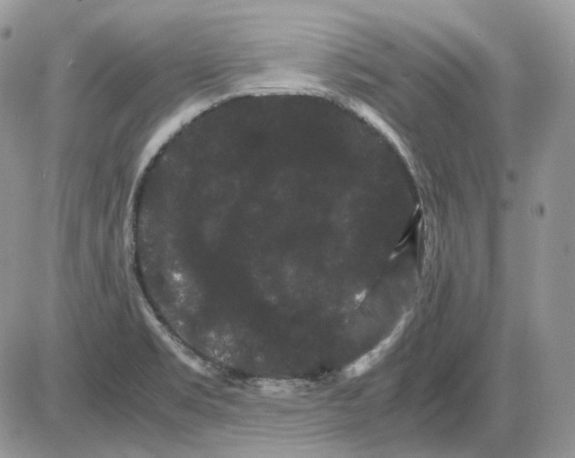 X0000086091469200704202204