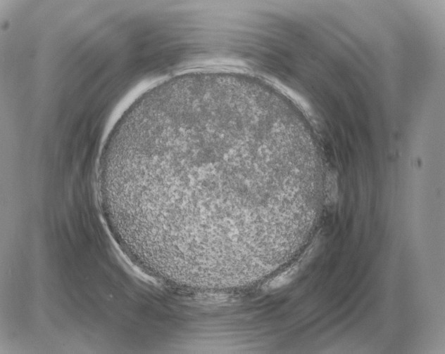 X0000086091470200704202204