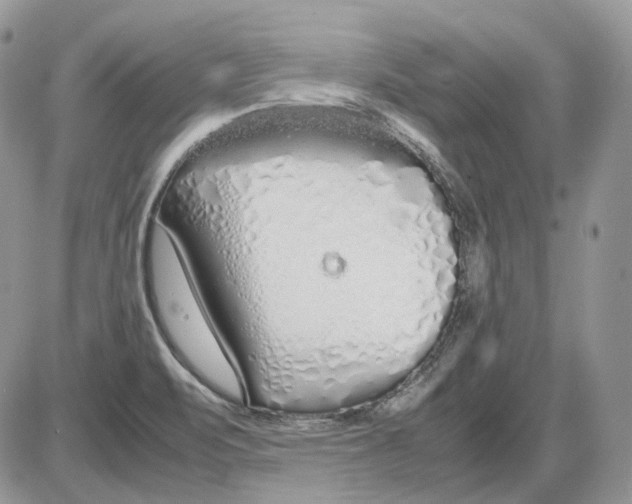 X0000086091471200704202204