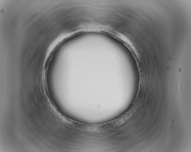 X0000086091472200704202204