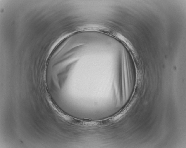 X0000086091473200704202204