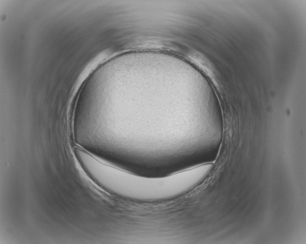 X0000086091475200704202204