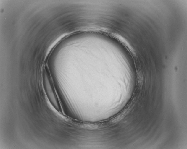 X0000086091476200704202204