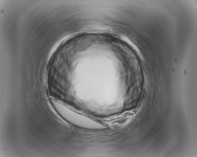 X0000086091477200704202204