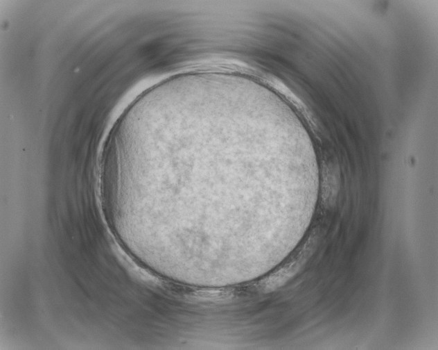 X0000086091478200704202204