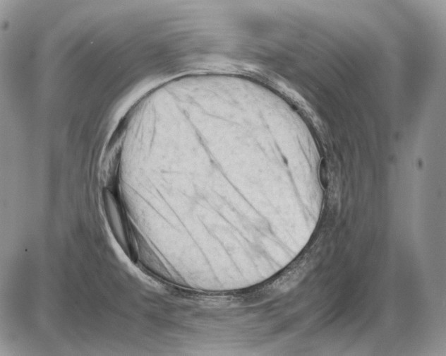 X0000086091479200704202204