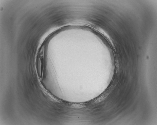 X0000086091480200704202204