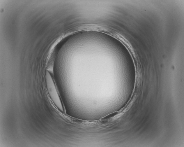 X0000086091481200704202204