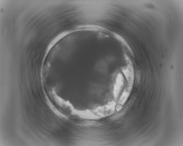 X0000086091482200704202204