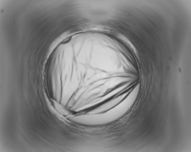 X0000086091483200704202204