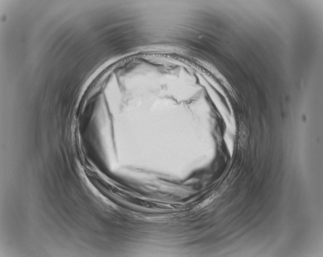 X0000086091484200704202204