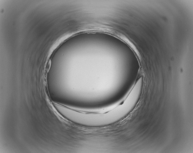 X0000086091485200704202204