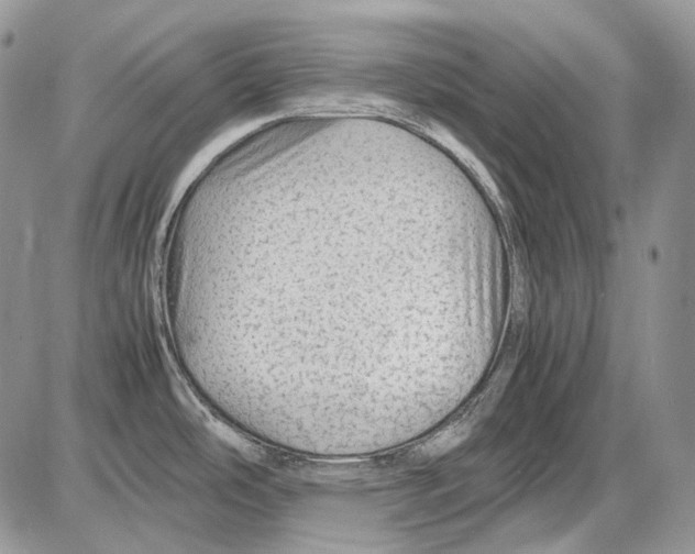 X0000086091486200704202204