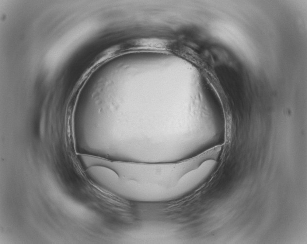 X0000086091487200704202204