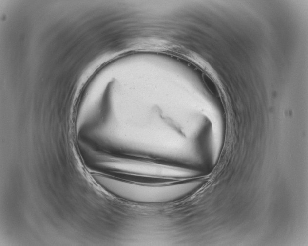 X0000086091488200704202203