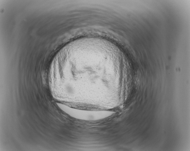 X0000086091490200704202203