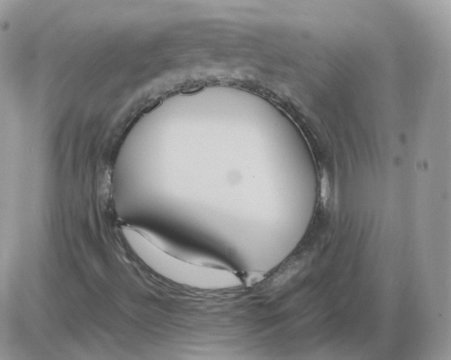 X0000086091492200704202203