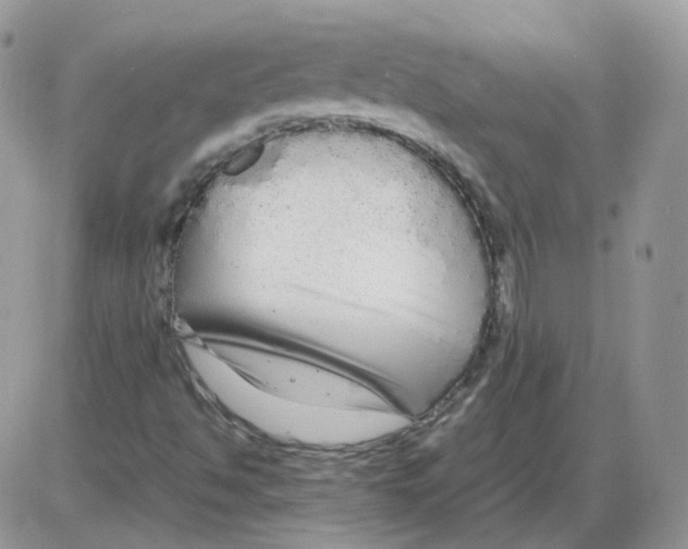 X0000086091494200704202203